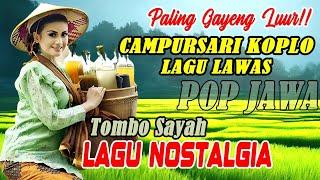 Campursari Lawas Nyamleng Banget Lagu POP Jawa Terbaru Paling Gayeng 2024 - Jalan Pedesaan Wonosobo