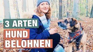 Hund EFFEKTIV Belohnen  3 ARTEN von BELOHNUNGEN im Hundetraining