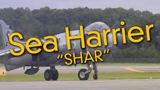 Sea Harrier SHAR and Pilot Art Nalls