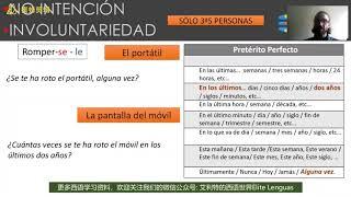 【西班牙语公益课】第六期：Dele中高级语法精讲——自复动词的利益与格SELE 2