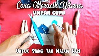 Cara Meracik warna Umpan Cumi Untuk Siang Dan Malam Hari-Angler Cumi