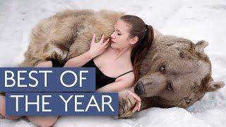 Best Videos Of The Year Compilation  Caters TV