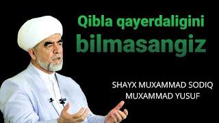 Qibla haqida  shayx Muhammad Sodiq muhammad Yusuf @islomuz