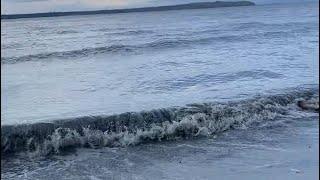 Afternoon walk High tide #hightide #afternoonwalk #walks #anchoragealaska  #september