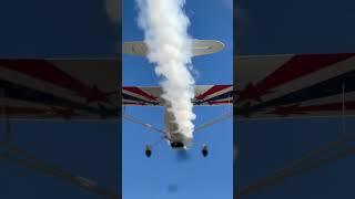 Super Decathlon Smoke #aviationshorts