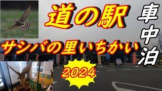 【車中泊】道の駅いちかい　10周年祭を開催　　サシバの里いちかい！