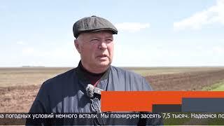 Продкорпорация помогает фермерам из Уалихановского района