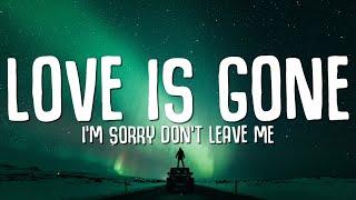 SLANDER - Love is Gone Lyrics ft. Dylan Matthew Acoustic Im sorry dont leave me