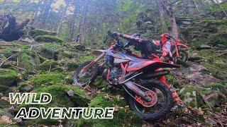 Adventure and FreeEnduro with Ott Kornel - Romania Adventure