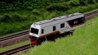 Rare and Unique Trains on Indonesian Railways