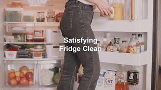 Satisfying Fridge Cleaning With Me