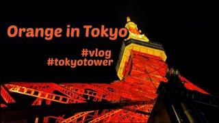 일본 일상 vlog  일본직장인 주말 일상  도쿄타워  도쿄야경  여름이었다