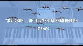 Журавли _ Инструментальная версия_ Igor Korg _ Korg PA900_ NEW 2021