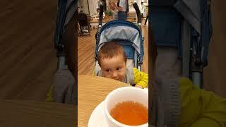 О боже  где моя еда  #shorts #shortvideo #like #live #love #cutebaby