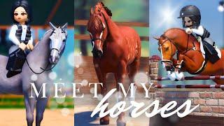 Meet My Horses II  Strideway Roleplay II Roblox Horse Game