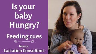 Newborn hunger cues breastfeeding  signs baby is hungry breastfeeding  frequency of newborn feeds