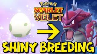 How To Shiny Hunt Using The Masuda Method in Pokemon Scarlet & Violet Easy Shiny Breeding Guide