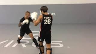 UFC Bantamweight Champion Tj Dillashaw & K-1 World Champion Takeru Segawa Technical Sparring