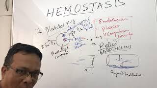 Hemostasisplatelets receptor and VWF