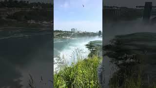 American Falls  Nature #Shorts  Niagara Falls State Park  Waterfall Wednesday  View 5