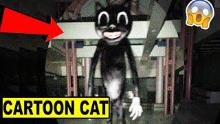 CARTOON CAT ATTACKED ME IN AN ABANDONED ALLEY 