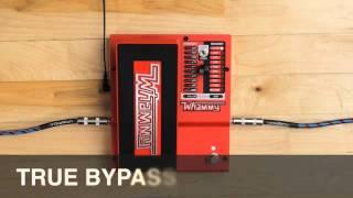 DigiTech Whammy Demo Video with Jonni Lightfoot