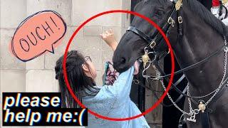 OMG King’s Horse BITES This Woman She SCREAMS in Pain