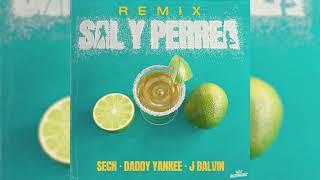 Sech Daddy Yankee J Balvin - Sal y Perrea Remix Audio Oficial