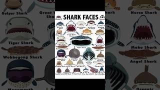 Goblin shark faces #shorts