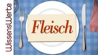 WissensWerte Fleisch und Nachhaltigkeit