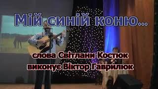 02.12. 2015 творчий вечір Світлани Костюк. Сл. С. Костюк До синього коня Мій синій коню...