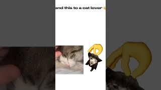 chi #roblox #geometrydashmemes #memes #gdmemes #cat #geoemtrydash #floppa