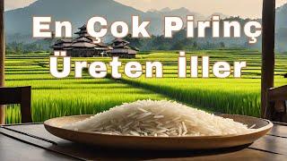 En Çok Çeltik Üreten 10 İl - Türkiyede Çeltik ve Pirinç Nerelerde Üretiliyor?