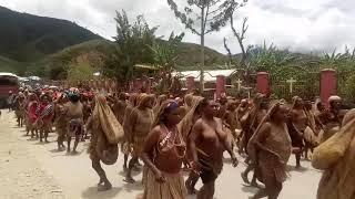 Tarian budaya Pengunungan Papua Koteka Moge Suku Mee Dogiyai