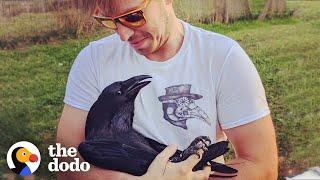 Raven Shakes His Tail Feathers Every Time He Sees Dad  The Dodo