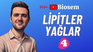 Lipitler  39 Günde TYT Biyoloji Kampı-4  9. Sınıf Biyoloji Kampı-4 yks2024