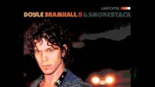 Doyle Bramhall II - Soul Shaker