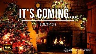  Cozy Christmas Ambience with Crackling Fireplace Snowfall Sounds  10 Hours  Bonus Facts