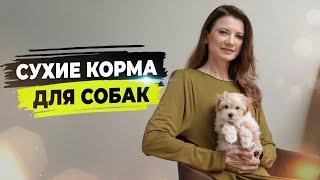 Производители корма нас обманывают? Обзор корма для собак.