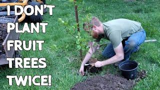 Replacing Trees in Our Orchard