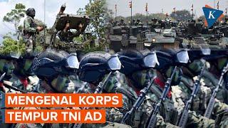 Mengenal Korps Tempur TNI AD Infanteri Kavaleri dan Artileri