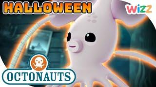 @Octonauts  The Spooky Ghost Squid    #Halloween Special   Cartoons for Kids  @Wizz