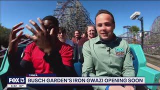 Take a ride on Iron Gwazi Busch Gardens new hybrid roller coaster