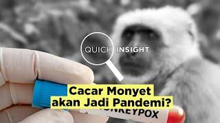 Quick Insight Cacar Monyet akan Jadi Pandemi?