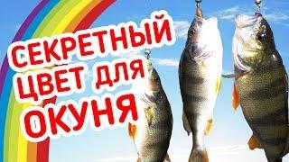 СЕКРЕТНЫЙ цвет приманки на ОКУНЯ Рыбалка на микроджиг с берега.