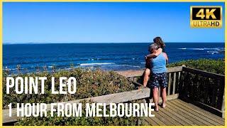 Exploring Point Leo Beach - Mornington Peninsula Victoria Australia