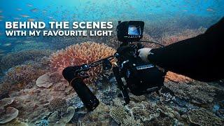 My Favourite Video Light Ever Made. Underwater Cinematography with the D950V