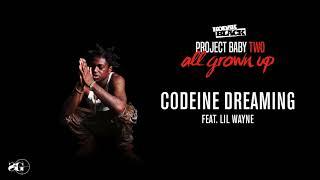 Kodak Black - Codeine Dreaming feat. Lil Wayne Official Audio