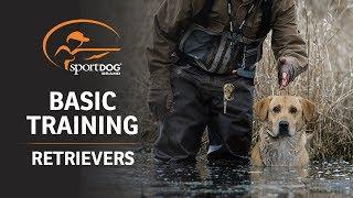 Basic Training  Retrievers