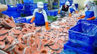 Salmon Cutting Processing Plant & Butter Salmon Pilaf Making  鮭魚菲力 奶油鮭魚炊飯 - Food Factory